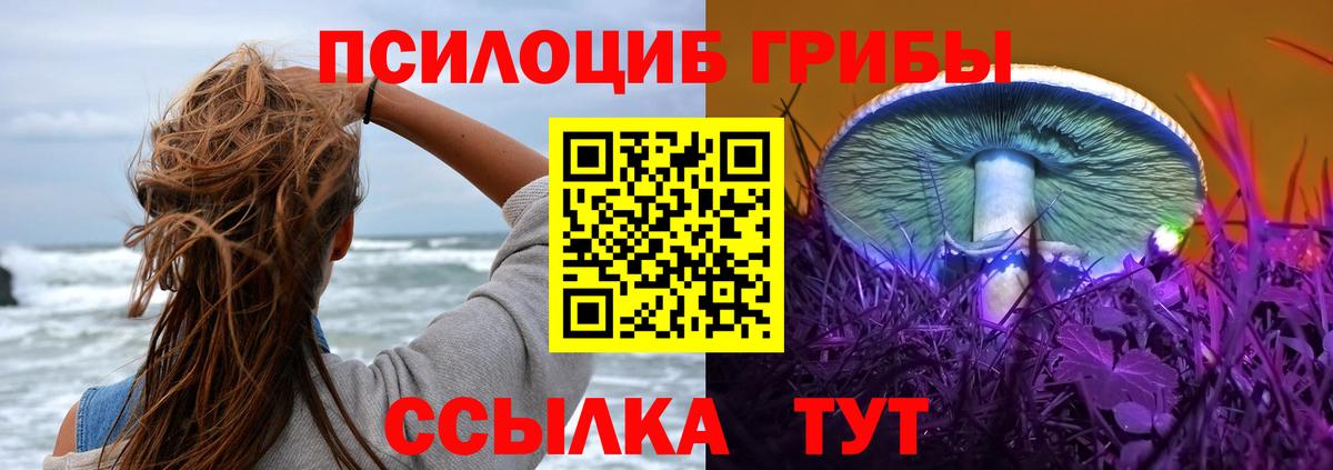 Прокопьевск  Псилоцибиновые грибы Magic Shrooms  Псилоцибиновые грибы ЛСД  Вход с VPN 
